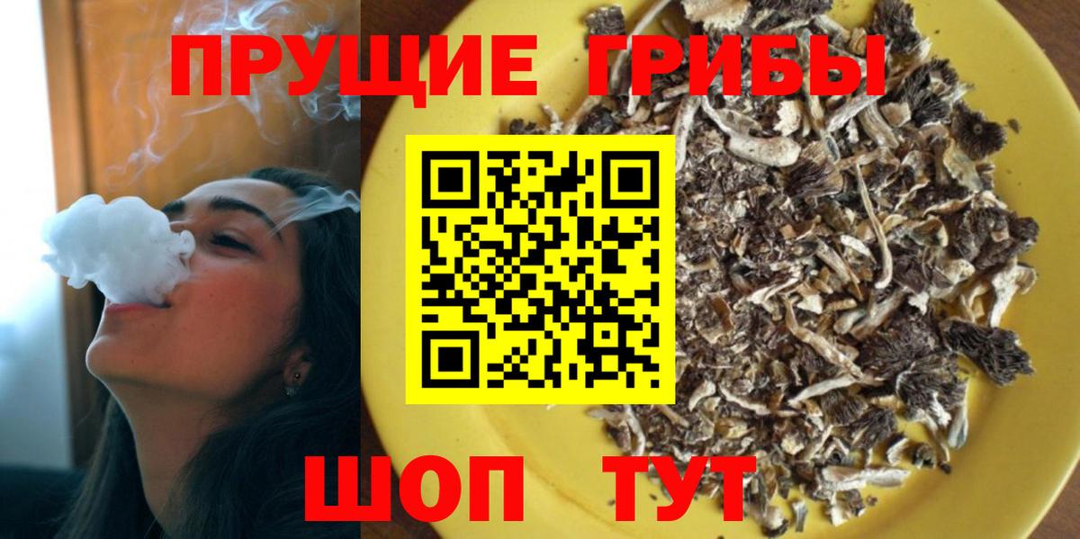 Псилоцибиновые грибы мухоморы Великие Луки