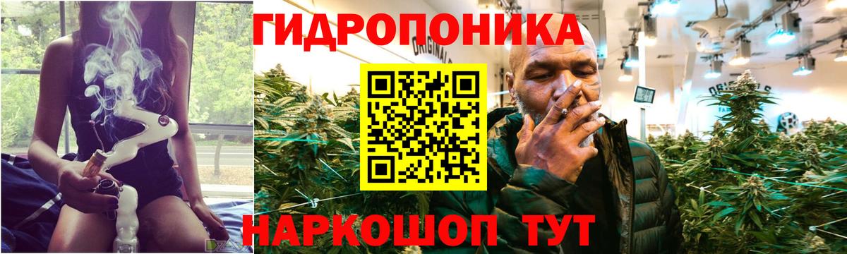 Великие Луки  Каннабис план  Канабис OG Kush  Шишки марихуана White Widow  Вход с VPN  Шишки марихуана Bruce Banner 